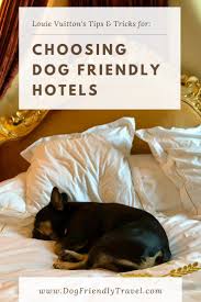 Choosing Dog Friendly Hotels In 2020 Dog Friendly Hotels Dog Friends Dog Playground