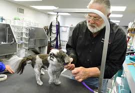 The latest version of vip dog salon is 1.1.1.9. Margate Couple Are Leaders In Pet Grooming Industry Business Pressofatlanticcity Com