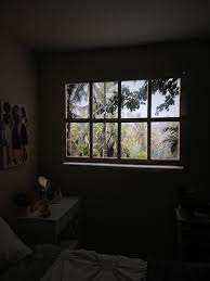 Not Ayesha Enough On Twitter When Tiktok Convinces You To Buy A Projector And Create Faux Windows In Your Bedroom