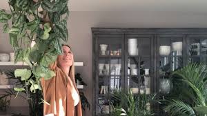 Be sure to rotate your plants every few weeks so that the side of the plant facing the wall is getting its fair share of sun. Low Light Hanging Plants Design Tips Tricks Youtube