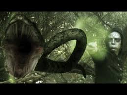 Serpensortia Vs Vera Verto Harry Potter Magic Spells Visual Effects Adobe After Effects Vfx Youtube