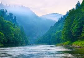 Opens in a new tab. Finding Peace When You Don T Feel God S Presence Embracing The Wind