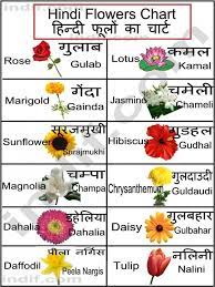 We did not find results for: The Story Of Pansy Flower Name In Telugu Has Just Gone Viral Hindi Language Learning Flower Chart Learn Hindi