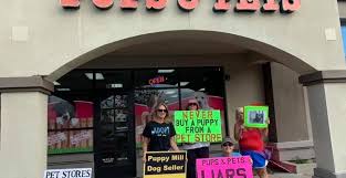 Check spelling or type a new query. David Salinas California S Pet Shop Kingpin Companion Animal Protection Society