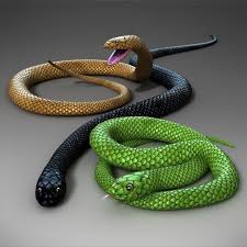 Snake Rigged 3d Model Snake Model 3d Model