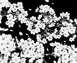 Flowers Black And White And Sakura Image Anime Wallpaper Aesthetic Anime Epic Drawings