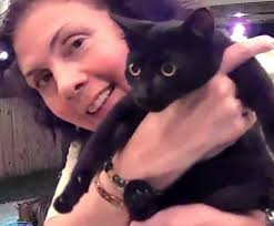 Introduction and photo of pet cat