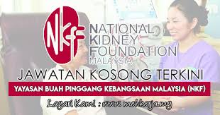 Buah pinggang yang sihat mengeluarkan sejenis hormon yang dikenali sebagai erythropoietin atau epo. Jawatan Kosong Terkini Di Yayasan Buah Pinggang Kebangsaan Malaysia Nkf 26 Jan 2019 Jawatan Kosong 2020 Kerja Kosong Terkini Job Vacancy