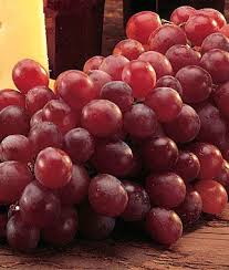 Reliance Seedless Grape Plants How To Grow Fruit Plants At Burpee Com Grape Plant Growing Fruit Fruit Plants