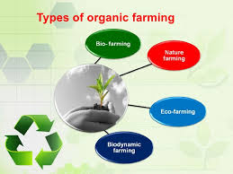 Organic Agriculture