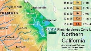 Use our planting zone finder to plan the perfect garden. Elevation Specific Gardening Mymotherlode Com