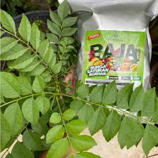 Jika kebiasaannya daun kari ini didapati pada kuah kari yang dimakan bersama dengan. Baja Sb Daun Kari Untuk 100 Pokok 500gram Baja Import Jualan Laris Shopee Malaysia