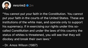 When Power is Threatened, Laws are Broken: Dr. Amos Wilson on Constitutional Limitations