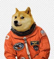 Dog Breed United States Doge Astronaut Dog Animals Carnivoran Png Pngegg