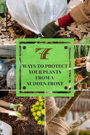 We did not find results for: 7 Ways To Protect Your Plants From A Sudden Frost Frost Protection For Plants Protect Plants From Frost Protect Flowers From Frost