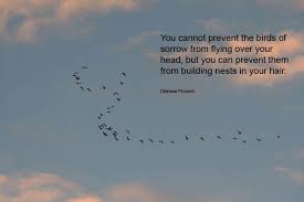 Cannot Fly Birds That Don T Fly You Cannot Prevent The Birds Of Sorrow From Flying Over Your Head V Quote Inspirational Words Friendship Quotes