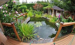 When autocomplete results are available use up and down arrows to review and enter to select. Pflegemassnahmen Im Jahresverlauf Gartenteich Ratgeber