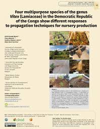 Image result for Vitex fischeri