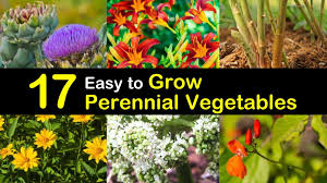 Before you can even plant an annual garden, you can there are many perennial flowers that we enjoy in our urban garden. 17 Perennial Vegetables To Pinch Pennies And Eat Like A King