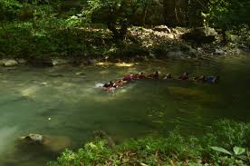 We did not find results for: Body Rafting Citumang Pangandaran Picture Of Pangandaran Golden Visage Tripadvisor