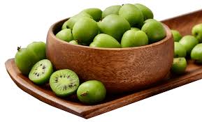 Image result for foto minikiwi