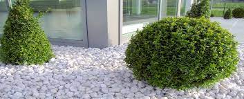 Ll➤ vergleiche jetzt das beste dekostein produkt bzw. Steine Im Garten Shop