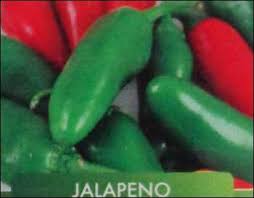 Jalapenos can aid in weight loss. Jalapeno Peppers In Chennai Jalapeno Peppers Dealers Traders In Chennai Tamil Nadu
