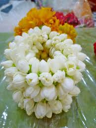 Pin By Nhoccom1011 On Flowers Jasmine Flower Beautiful Rose Flowers Amazing Flowers