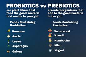 Probiotics vs Prebiotics: What's the Difference? - Sovereign Laboratories