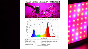 King 4000w quantum dimmable led grow light 1296pcs samsung leds 7x7ft coverage full spectrum for hydroponics greenhouse commercial indoor grow. King Plus 600w Led Grow Light Review Growyour420