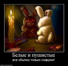 Отказ в американской визе причины отказа