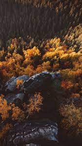 Saxon Switzerland Trees And Mountains Iphone Wallpaper Mountain Wallpaper Nature Scenery