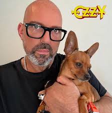 High-quality pet food recommendations for rescue dogs