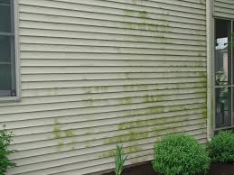 House exterior options finishes royal homes. Types Of Siding That Need To Be Painted Modernize