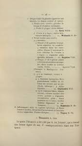 Image result for Thecacoris spathulifolia