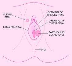 You may be more likely to get. What Those Painful Spots Down There Are How Treat Them Blog Huda Beauty