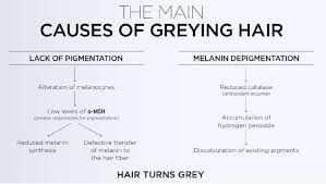 Naturally occurring hydrogen peroxide can also build. What Is The Mayraki Anti Grey Hair Color Restoring Treatment And Why Is Everyone Talking About It Hair Mayraki