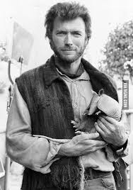 After achieving success in the western tv series rawhide. Just A Young Clint Eastwood Holding An Armadillo 9gag