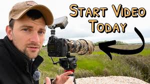 Beginners Guide to Bird Photography