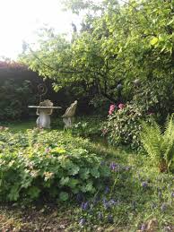 geranium garten im fruhjahr garten gartengeschichte fruhjahr