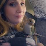 Breeders Reviews :: Linville's Aviary, Miami, FL