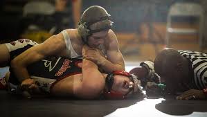 Eaton Rapids Grapplers Win Div. 2 Team Regional