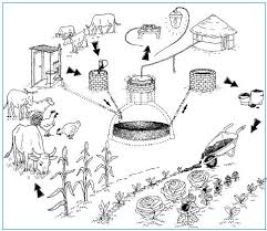 Hayvan Gubresinden Biogaz Uretimi Pdf Ucretsiz Indirin