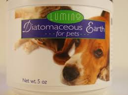 Maybe you would like to learn more about one of these? Is Diatomaceous Earth Safe For Dogs And Will It Kill Fleas Uses And Facts Pethelpful