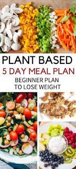 Plant Based Diet On A Budget For Beginners Momma Fit Lyndsey Plant Based Diet Meal Plan Healthy Plant Based Recipes Plant Based Recipes Breakfast