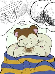 Snoozer hamtaro