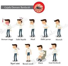 Jenis penyakit ini disebabkan oleh nyamuk aedes aegypti yang membawa virus. 10 Ciri Ciri Gejala Demam Berdarah Dbd Pada Anak Yang Diwaspadai