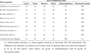 Antimicrobial Activity Of Euphorbia Hirta Expressed As Zone