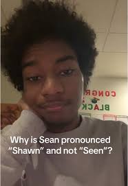 What Does Shawn Mean in Japanese