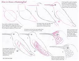 Maybe you would like to learn more about one of these? Download This Hummingbird Sketching Tutorial Pdf In 2021 Sketches Tutorial Hummingbird Drawing Hummingbird Sketch